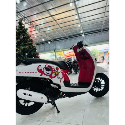 xe scoopy gấu dâu