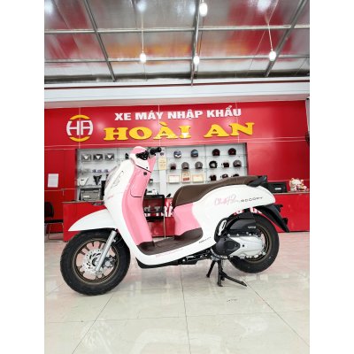 xe scoopy 2024 hồng