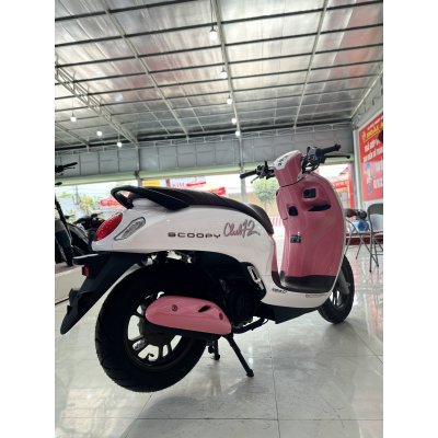 xe scoopy 2024 hồng